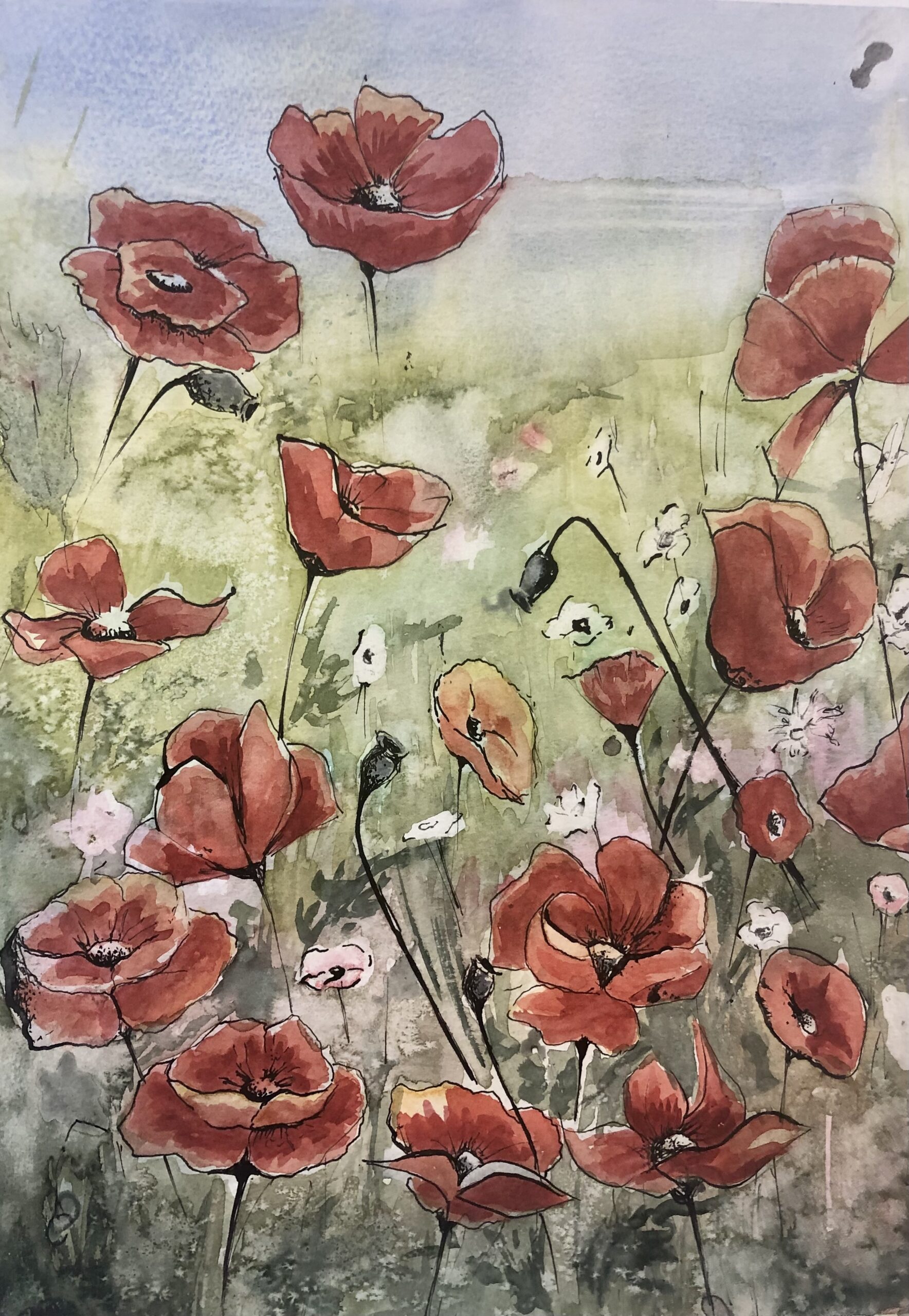 Poppies